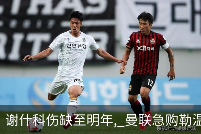 谢什科伤缺至明年, 曼联急购勒温补锋线