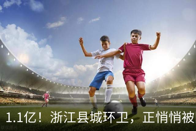 1.1亿！浙江县城环卫，正悄悄被国资平台收编